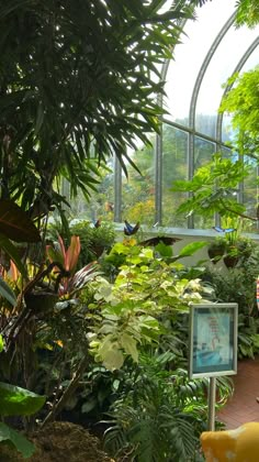 two children in a greenhouse looking at plants and other things on the ground below them