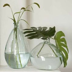 two vases with plants in them sitting on a shelf next to each other,