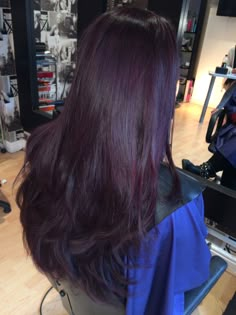 Dark Purple Over Brown Hair, Dark Purple Layered Hair, Black Hair Undertones, Berry Brown Hair Color Purple, Purple Layers Hair, Super Dark Purple Hair, Dark Purple Undertone Hair, Deep Purple Hair Burgundy, Hair Colour Purple Dark