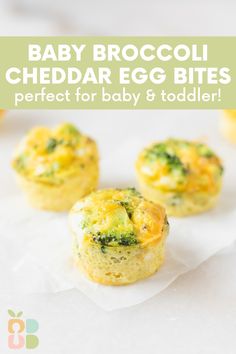 baby broccoli cheddar egg bites perfect for baby and toddler to eat