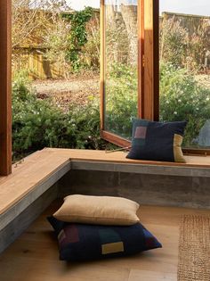 two pillows are on the floor in front of a window and some plants behind it