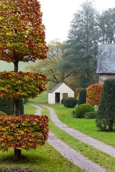 an image of a house in the middle of some bushes and trees with leaves on them