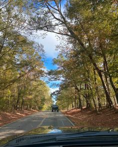 a car driving down a road surrounded by trees