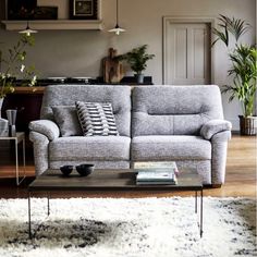 a living room with a gray couch and coffee table in front of the couch is a potted plant