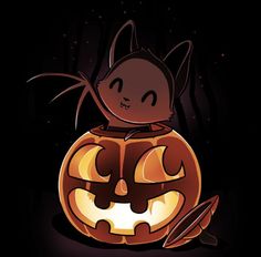 a cat sitting on top of a jack - o'- lantern in the dark