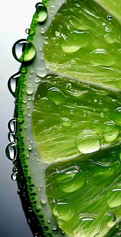 a slice of lime with water drops on it