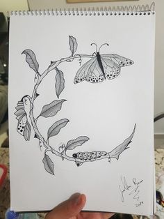 a drawing of two butterflies sitting on top of a leafy branch with leaves around it