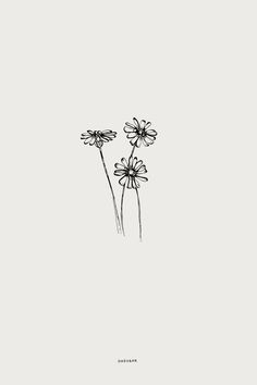 three daisies in black and white on a light gray background with the words,'i