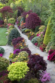 a garden filled with lots of colorful flowers