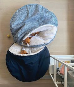 a dog laying in a blue round bed