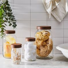 three jars filled with different types of food on top of a counter next to a plant