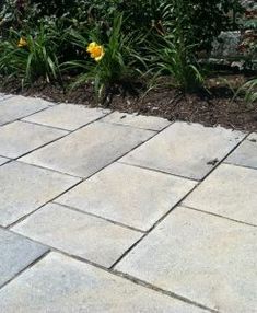 a stone walkway with yellow flowers in the background