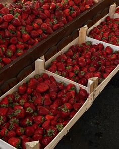 several boxes filled with lots of ripe strawberries