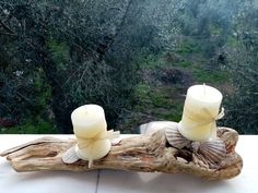 two candles sitting on top of a piece of driftwood