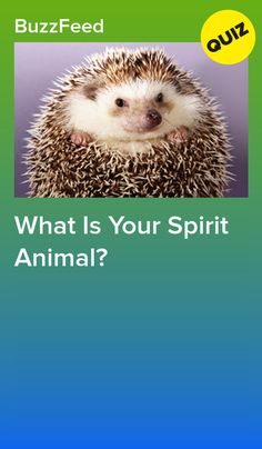 an animal with the words what is your spirit animal?