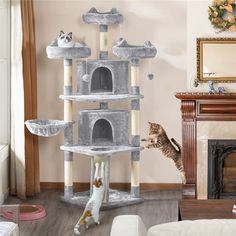 a cat standing in front of a grey cat tree