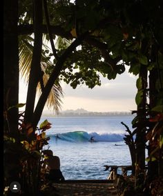 a person sitting on a bench looking out at the ocean with a surfboard in the distance