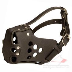 a leather muzzle with holes on the side and metal fittings, for dogs to wear