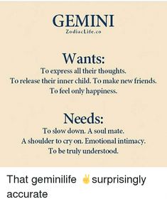 a poster with the words gemini and what they mean to be true or false