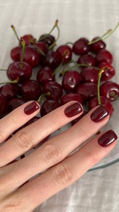 Wine Red Manicure, Cranberry Fall Nails, Cherry Nails Aesthetic, Simple Burgundy Nails, Shalach Nail Ideas, Maroon Short Nails, Wine Nails Designs Burgundy, Cherry Nail Color, Black Cherry Nail Color