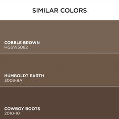 three shades of brown with the words similar colors on each side and two different color names below