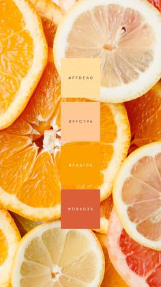 oranges, lemons and grapefruit are arranged in different colors