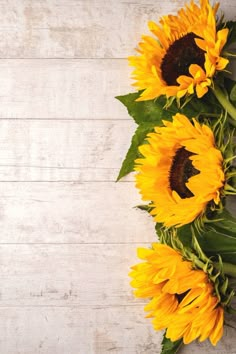 sunflowers are arranged on a white wooden surface