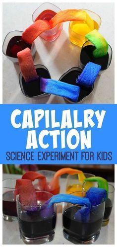 the science experiment for kids is called capillary action and it's fun to make