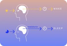 Circadian rhythm: How switching your lights improves your sleep routin – LIFX Put Your Phone Down, Bedtime Routine