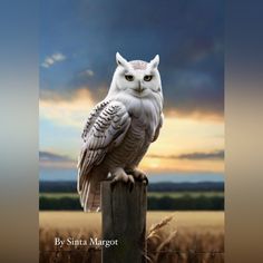 an owl sitting on top of a wooden post in front of a cloudy sky with clouds