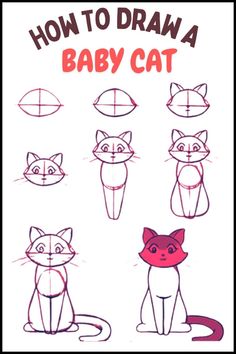 how to draw a baby cat