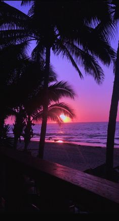 the sun is setting behind some palm trees