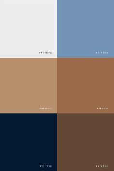 the color palette is different shades of brown, blue, and white with words on it