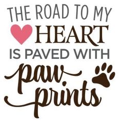 the road to my heart is paved with paw prints