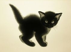 a small black kitten walking across a white floor with blue eyes and whiskers on it's back legs