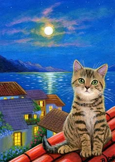 a cat sitting on top of a red roof next to a house and the ocean