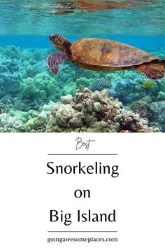 a turtle swimming in the ocean with text overlay reading snorkeling on big island