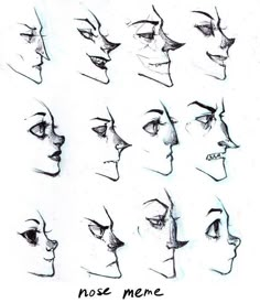 some sketches of different faces and noses with the words nose meme written on them