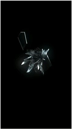 a black and white photo of a flower in the dark with light shining on it