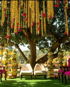 chairs under a tree with flowers hanging from it's branches in front of an outdoor seating area