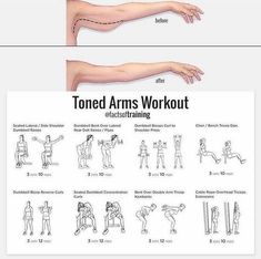 an arm workout chart shows how to do the same exercises for each individual's body