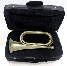 an old brass trumpet in its case