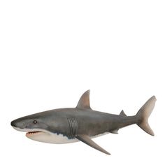 an image of a shark that is in the air