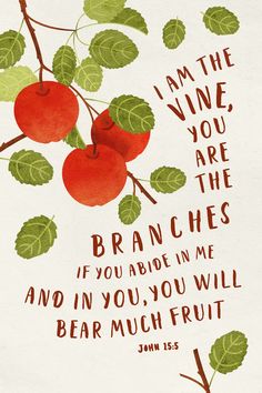 Apple fruit typography bible verse quote watercolor I Am The Vine You Are The Branches, Fruits Of The Spirit Tattoo, I Am The True Vine, Ideas Watercolor, Vine And Branches, Fruit Tattoo, Spirit Tattoo, John 15 5