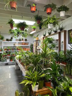 a room filled with lots of potted plants