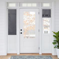 a white front door with red shades on the windows and sidelights, next to a potted plant