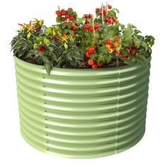 a large green planter filled with lots of red and yellow flowers on top of a white background