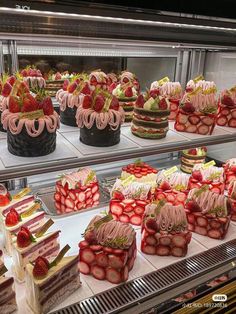 a display case filled with lots of different types of cakes and desserts on top of it