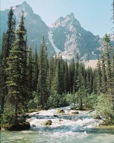 a river running through a forest filled with tall pine trees and snow covered mountains in the background