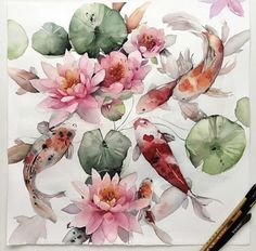 an instagram with watercolor illustrations on it